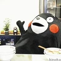 About Kumamon